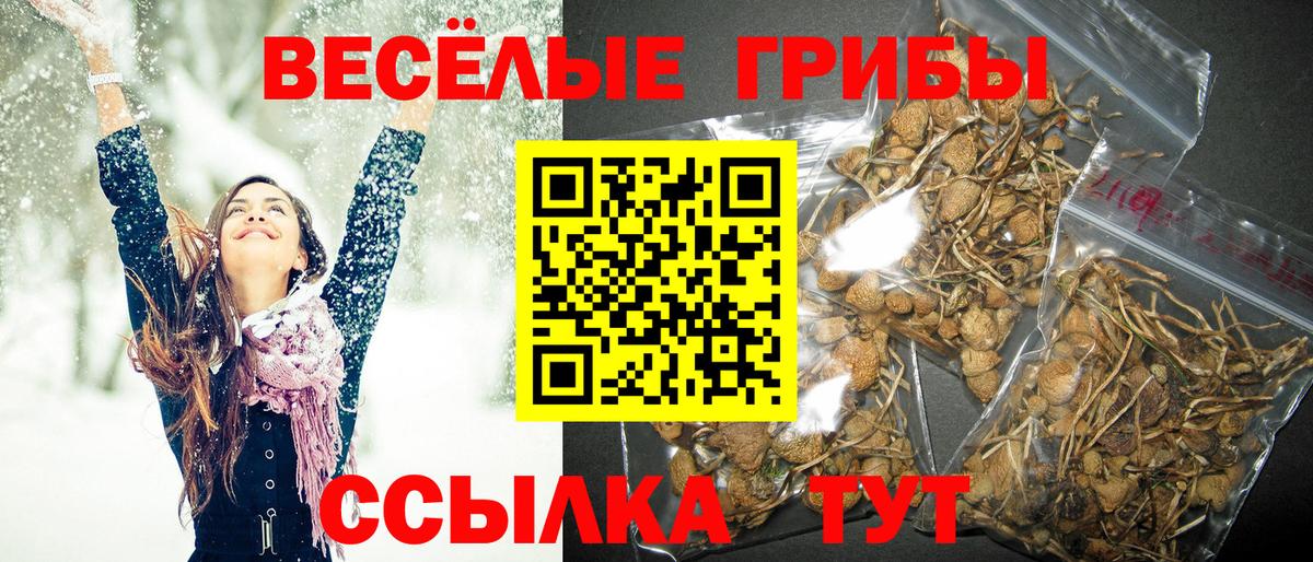Псилоцибиновые грибы GOLDEN TEACHER Уварово